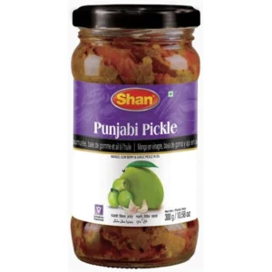 Shan Punjabi Mixed Pickle 12X300g